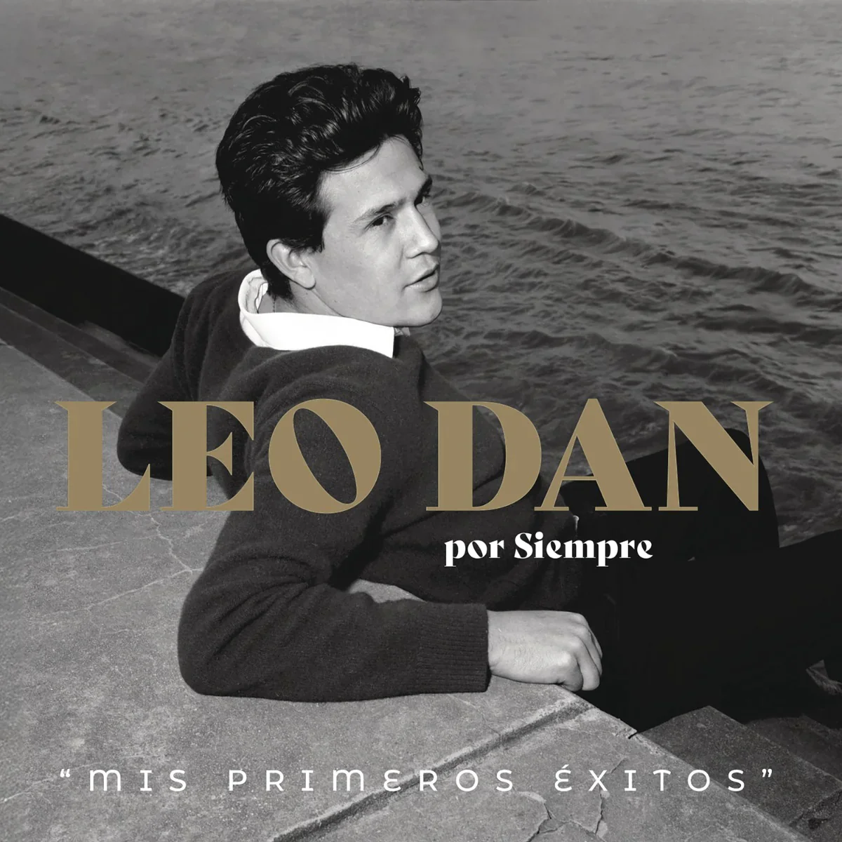 LEO DAN - Leo Dan Por Siempre “Mis Primeros Exitos” 2LP