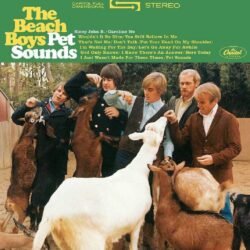 THE BEACH BOYS - Pet Sounds - Stereo - (180 Gram Vinyl)