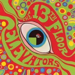 13th FLOOR ELEVATORS - The Psychedelic Sounds - x 1 LP