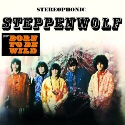STEPPENWOLF - STEPPENWOLF 180 Gr.