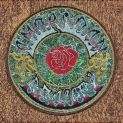 GRATEFUL DEAD - AMERICAN BEAUTY