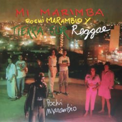 POCHI MARAMBIO Y TIERRA SUR - MI MARIMBA - 2 LP
