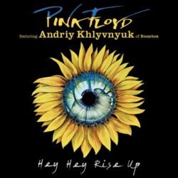 PINK FLOYD - Hey Hey Rise Up - CD