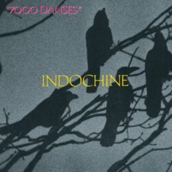 INDOCHINE - 7000 Danses - CD