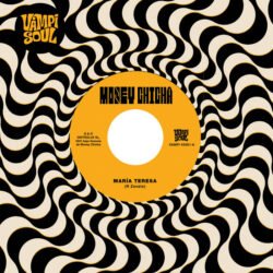 MONEY CHICHA - Maria Teresa / Cumbia del Desierto - 7" / 45 RPM
