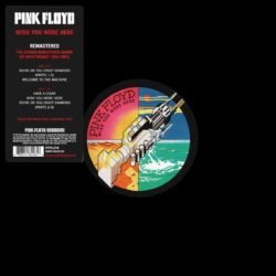 PINK FLOYD - Wish You Were Here (Remastered) (180 Gram Vinyl)