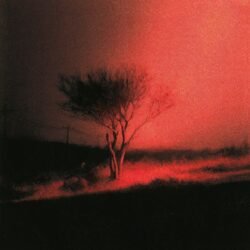 JOJI - Piss In The Wind [Explicit Content]