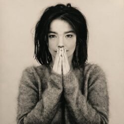 BJORK - Debut